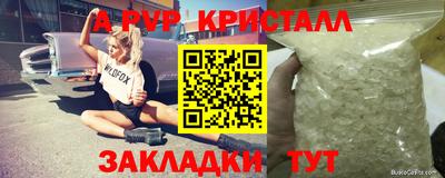 спиды Гагарин