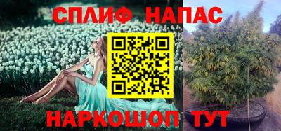 дмт Балашиха