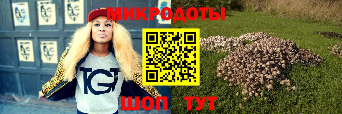 Галлюциногенные грибы Magic Shrooms Гусиноозёрск